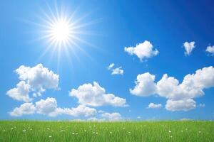 Sunny day on a grassy field photo