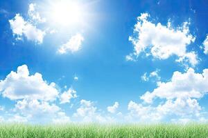 Sunny Day Sky Over Grass photo
