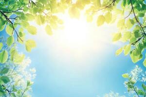 Fresh, vibrant spring leaves against a clear sky photo