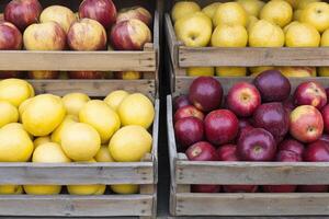 Fresh apples and pears in wooden crates photo