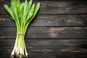 Fresh bunch of green onions on dark wooden surface photo