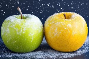 Two apples, dusted with snow photo