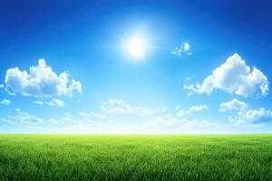 A field with grass and sun in the sky photo
