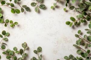 Fresh green leaves frame on textured white photo
