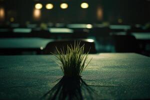 A small plant sits on a table in a dimly lit restaurant photo