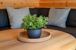 Cozy corner with a touch of greenery photo