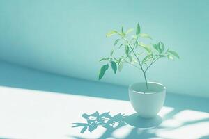 Gentle plant in soft light photo