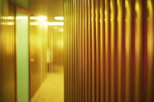Golden corridor interior design photo