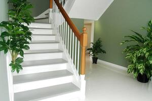 Stylish stairway with plants photo
