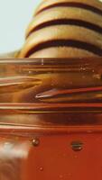 Golden honey dripping creating steady streams and ripple effects video