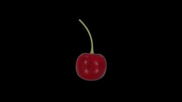 Red Cherry Rotating on a Transparent Background. Seamless Loop. 4K video