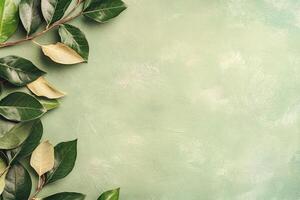 Fresh green leaves border on a light mint green background photo