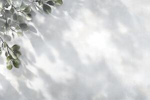 Light and Shadow on a Pale Wall with Greenery photo