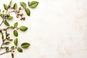 Fresh sprigs with vibrant green leaves and berries on a light cream background photo