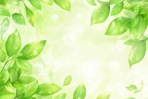 Fresh green leaves frame photo