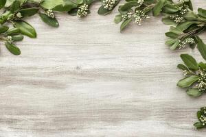 Fresh greenery borders a light gray wood surface photo