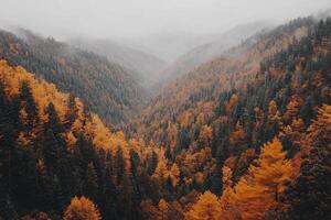 Autumnal Mountain Valley photo