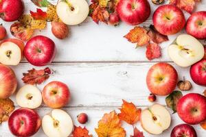 Autumnal apples and leaves frame photo