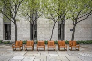 Urban park seating arrangement under trees photo