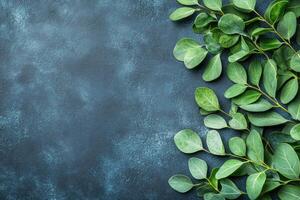 Fresh greenery sprigs on dark surface photo