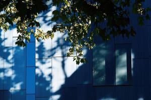 Tree shadows on modern building photo