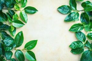Fresh green leaves frame a light beige background photo