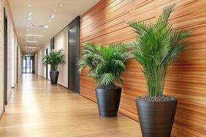 Modern office hallway with wooden wall and plants photo