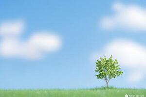 Tranquil spring landscape photo