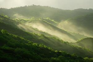 Misty mountain slopes bathed in sunlight photo