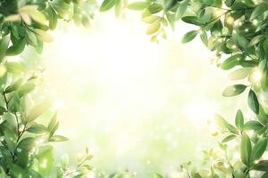 Fresh, vibrant leaves frame a soft, luminous space photo