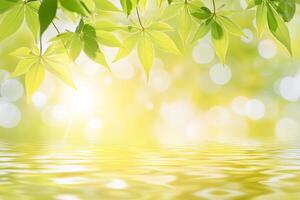 Fresh Spring Leaves over Water photo