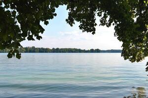 Tranquil lake view framed by leafy branches photo