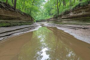 A tranquil creek meanders through a secluded, layered canyon. Lush green trees line the banks, reflecting in the still water photo