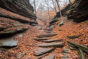 Autumnal rock steps through a misty ravine photo