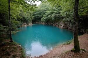 Serene turquoise lake nestled within a lush forest photo
