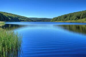 Serene lake with lush greenery photo