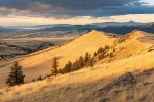 Golden Hillside at Sunset photo