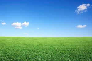 Expansive green field under a vibrant blue sky photo