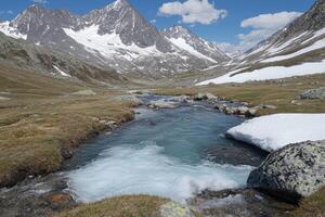 Mountain stream cascading through alpine meadow photo