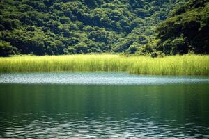 Serene lake nestled in lush greenery photo
