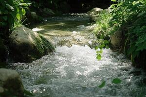 Stream cascading over rocks in a natural setting photo