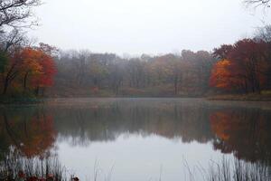 Misty autumnal pond photo