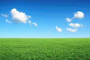 Vast grassy field under a clear blue sky photo