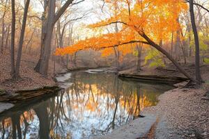 Autumnal creek scene with vibrant fall foliage. Tranquil waterway reflects the colorful trees photo