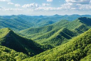 Lush mountain vista photo