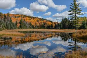 Autumnal Pond Reflecting Clouds photo