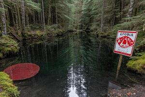 Forest pool with warning sign photo