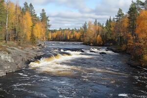 Autumn river rapids. Foamy water cascading over rocks. Autumnal colors photo