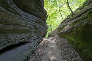 Rocky path through a shaded ravine photo