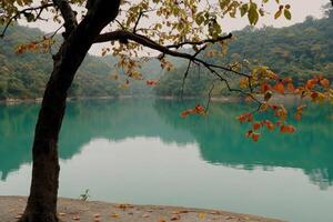 Tranquil lake scene with autumnal foliage photo